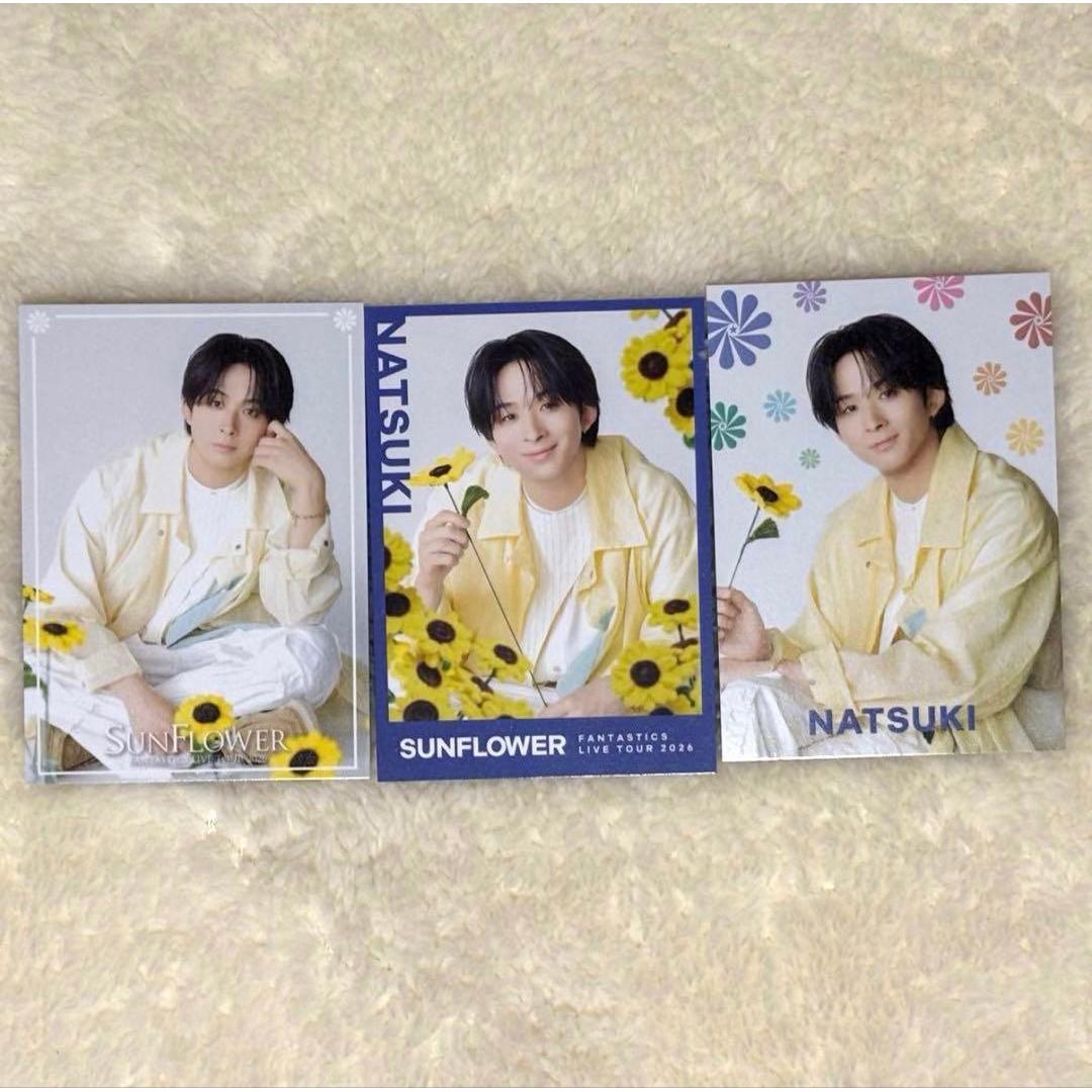 Used FANTASTICS Natsuteru Sawamoto SUNFLOWER Photocassicle Set