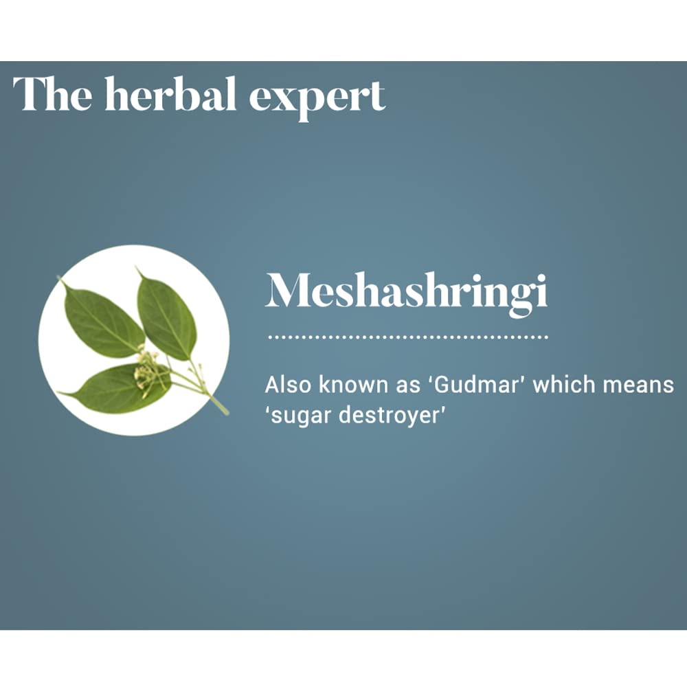 Himalaya 2 x Wellness Pure Herbs Meshashringi Metabolic Wellness 60 Tablets For Sugar Craving Control - Total 120 Tablets