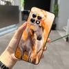 Animal Steed Horse Case For OnePlus Nord 5 CE 2 3 4 Lite N20 N30 OnePlus 15 R 13 12 11 10 Pro 10T 12R 13R Cover