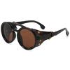 Adventure Ready Retro Windproof Sunglasses For Cycling Trekking Anti Dust Protections Lightweight PC