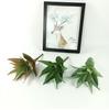 Huashe Red Air Succulent: Creative Faux Green Plant for Home Décor