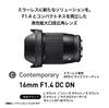 Sigma 16mm DC DN Lens for Canon Mirrorless Contemporary Style F1.4 EF-M Mount, Wide-Angle, APS-C Cameras,