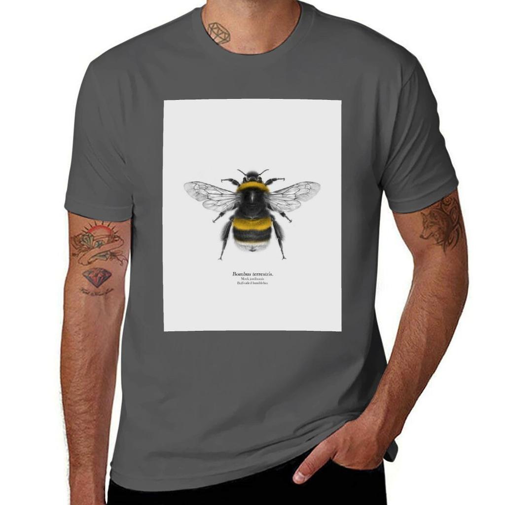 Bombus terrestris TShirt Big and Tall Solid Color TShirt