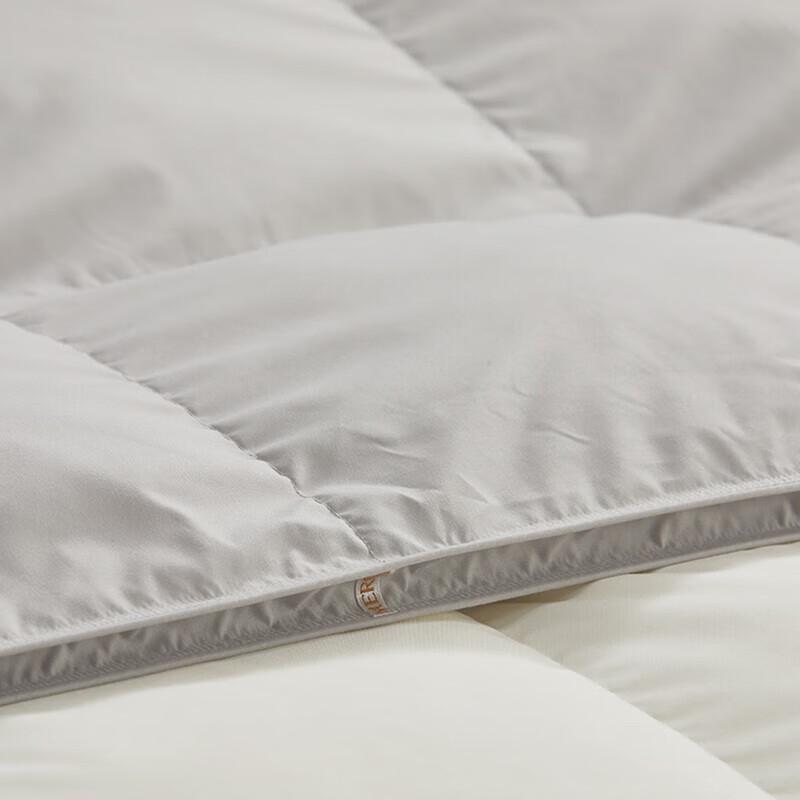 Mercury Home Textiles Four Seasons Goose Down Comforter