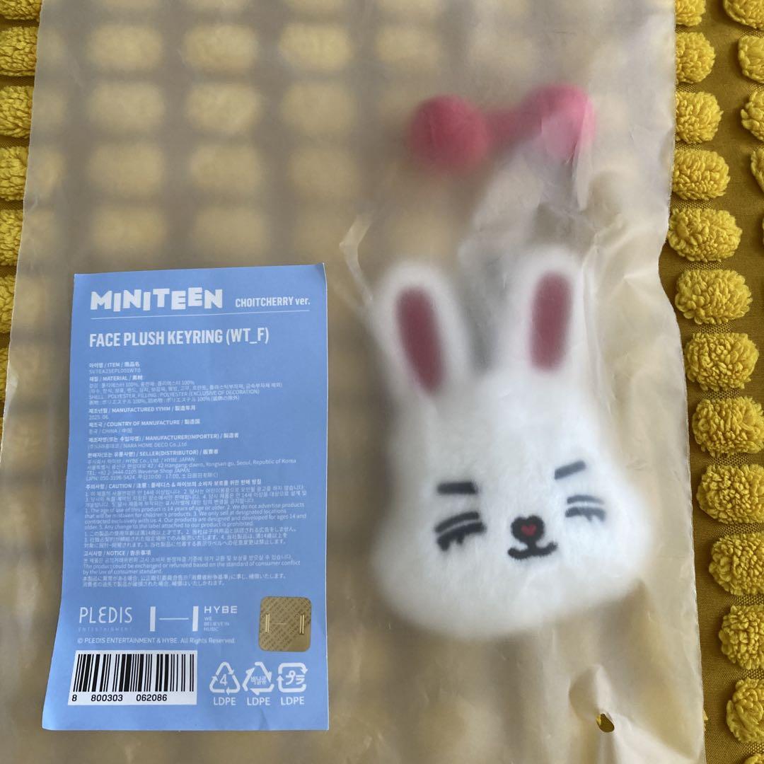 

[Б/У] MINITEEN Всплывающий брелок для лица S.X.P. Семнадцать