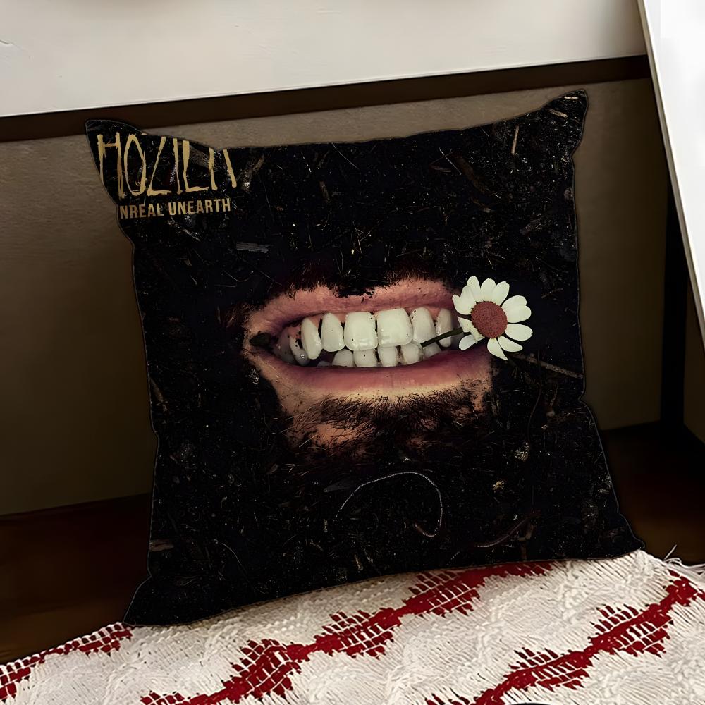 Hozier singer Cushion Cover Reversible Soft Durable Pillow Cover Home  Car MultiScene Use for Daily Comfort