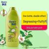 Rejoice Grüner Tee Frische Ölkontrolle Shampoo