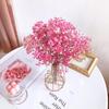 DIY Small Natural Photo Backdrop Pressed Gypsophila Babysbreath Bouquet Dry Flower Dried Flowers
