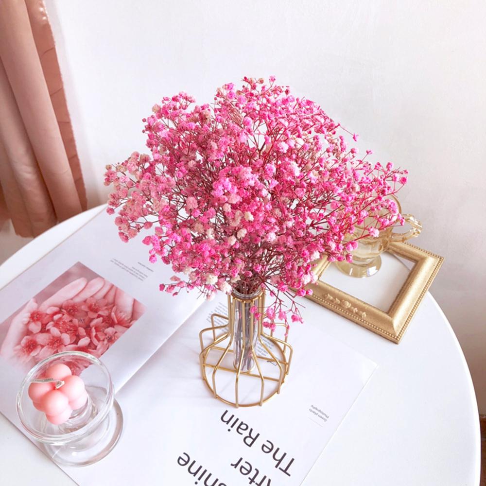 DIY Small Natural Photo Backdrop Pressed Gypsophila Babysbreath Bouquet Dry Flower Dried Flowers