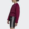 Adidas Z.N.E.Cold.Rdy Sweatshirt Women's Purple FS2384