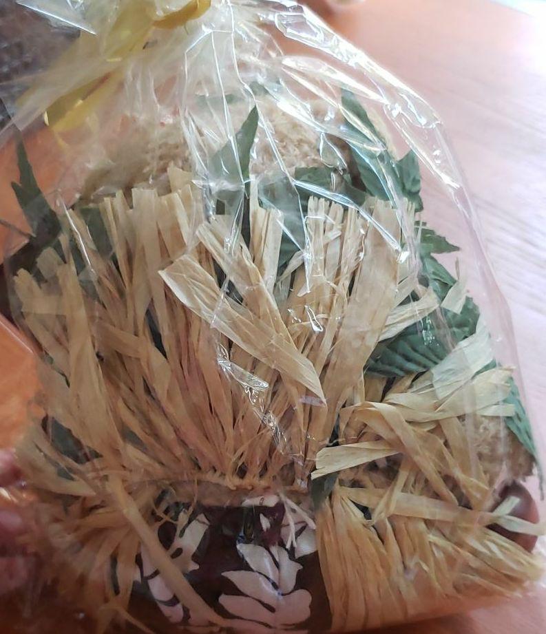 [USED] Price Reduced Again! Bear Foot Hawaii Limited Edition Teddy Bear