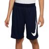 Nike Kids Shorts Moderate FQ3633-451