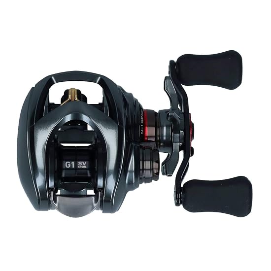 DAIWA Baitcasting Reel 19 STEEZ CT SV TW 700SH (2019 Model)