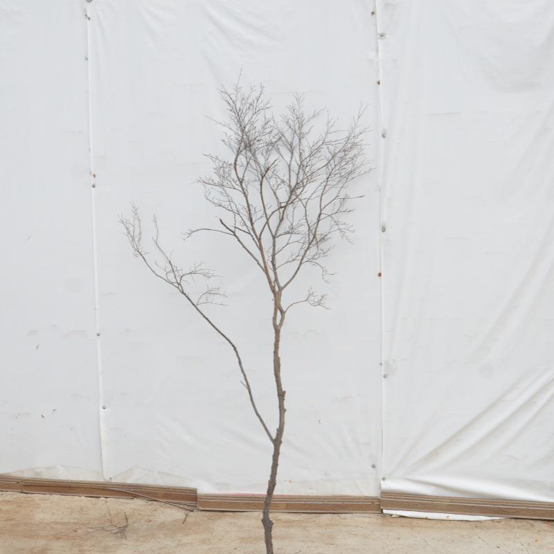 Künstlicher Baumzweig und Stamm Dekorationsstück