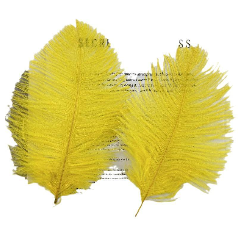 Barevné zavírače na dorty z pštrosího peří a příslušenství