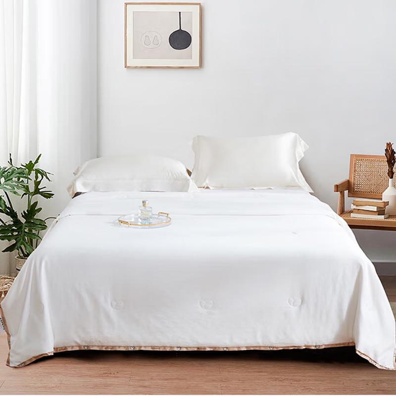 JinSiLi Cloud Soft Tussah Silk Blend Quilt