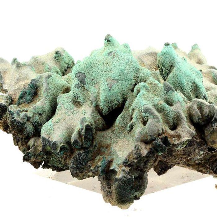 Pierres et Minéraux. Chrysocolle. 1633.0 ct. L'Etoile du Congo Mine, Lubumbashi, Congo.