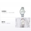 Casio STANDARD Series Fashionable Business Simple Casual Versatile Classic Pointer Roman Scale Large Dial Waterproof Quartz Movement LTP-VT01D-7B