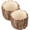 2 Pcs Flowerpot Bark Fountain Outdoor Plants Bonsai Planter Wooden Rustic Log Container