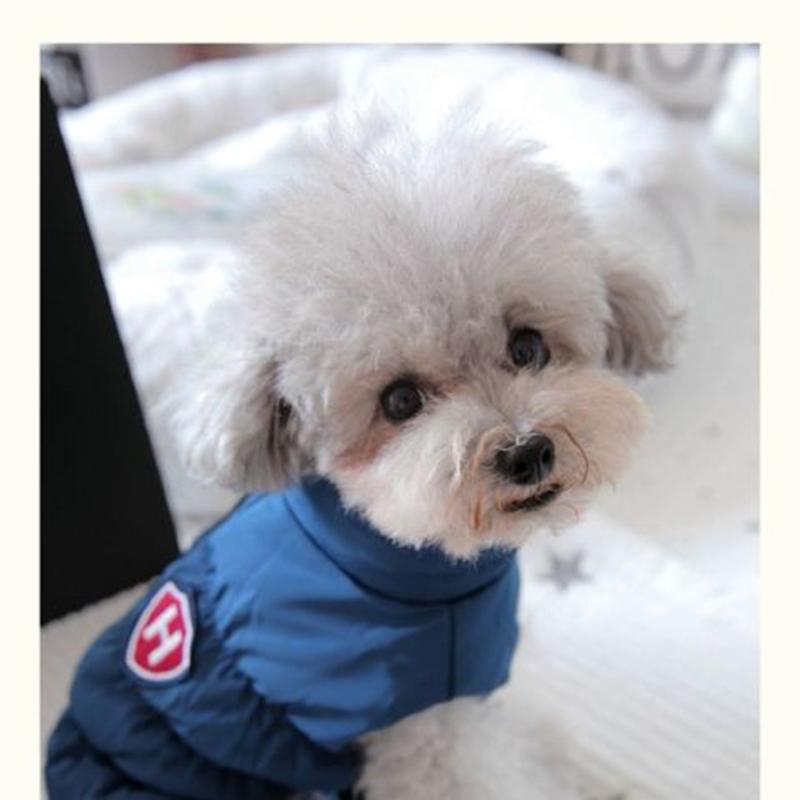 Buy Pet Small Dog Cat Clothes Autumn Winter Cotton Warm Coats Four