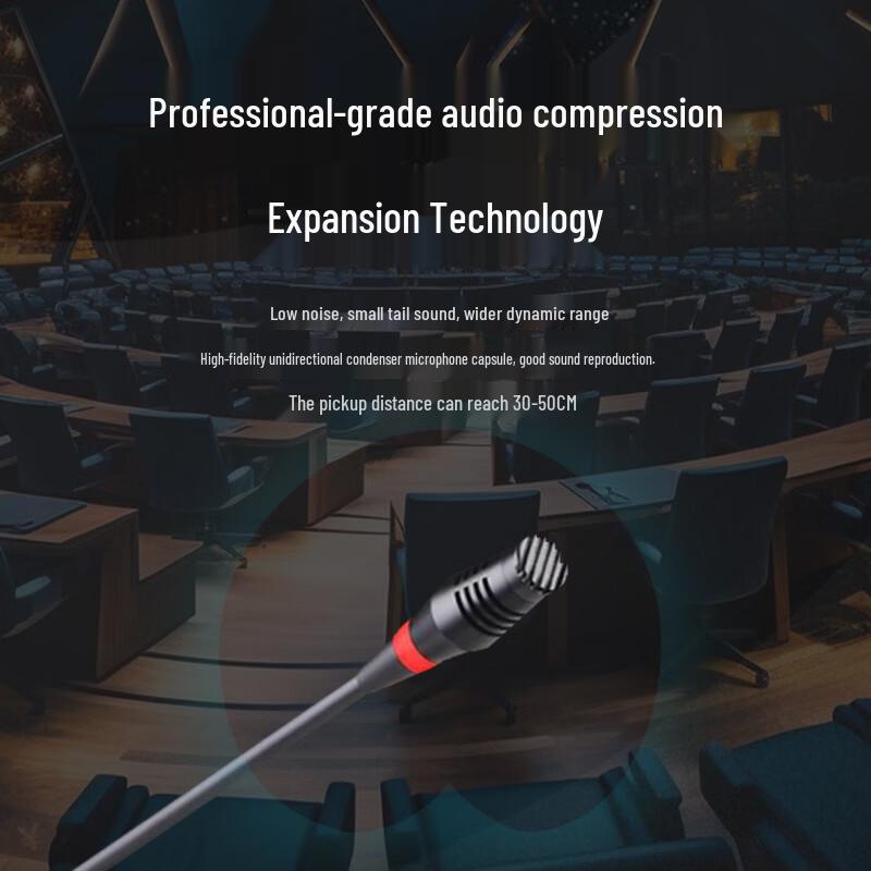 Runpu Professional Wireless Conference Microphone System (CN version)