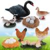 Growth Cycle Miniature Cycle Duck Figurine White Goose Growth Cycle Simulation Life Cycle Figures