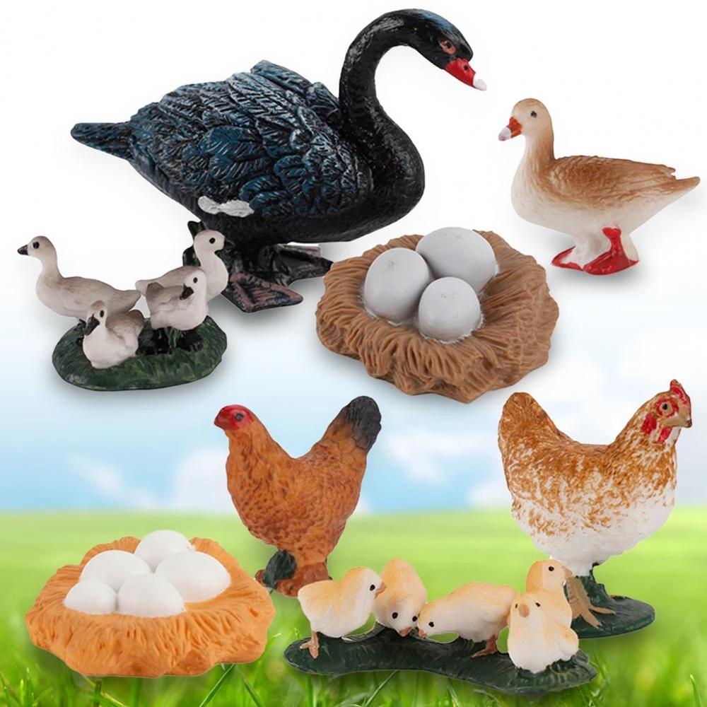 Growth Cycle Miniature Cycle Duck Figurine White Goose Growth Cycle Simulation Life Cycle Figures