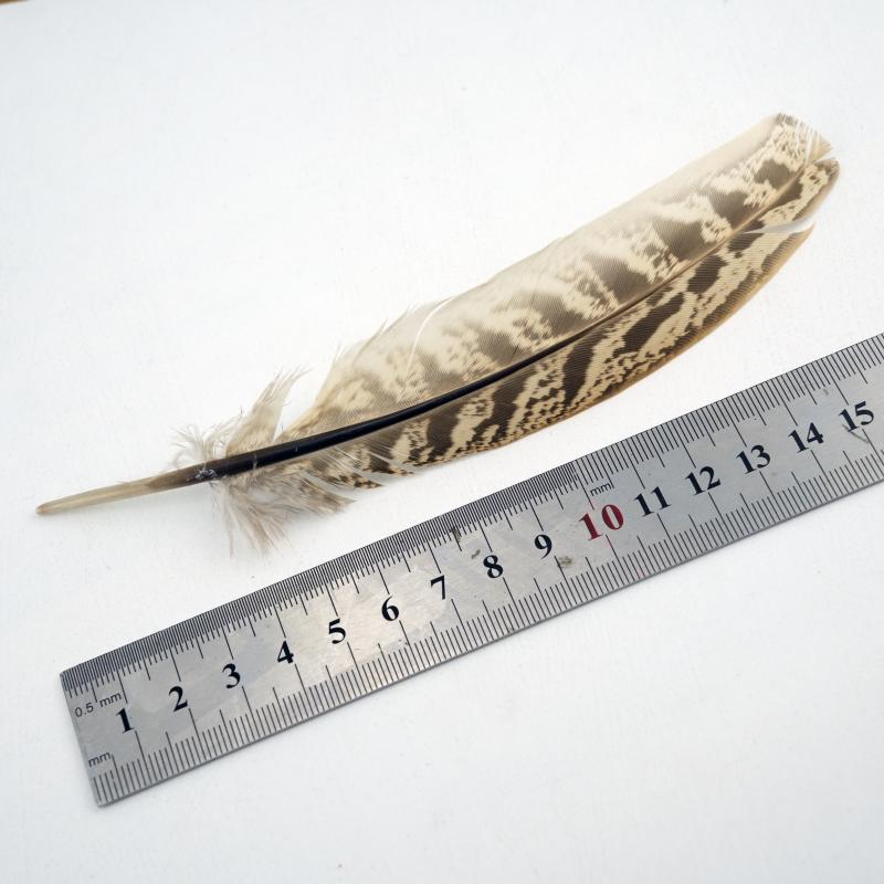 15-18cm Natural Pheasant Feathers for DIY Crafts Premium Handmade Costume Accessories Fly Tying & Wedding Decor Supplies Bulk