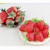 10Pcs Artificial Strawberry Lifelike Fruit Strawberries Photography Prop Home Kitchen Cabinet Party Ornament