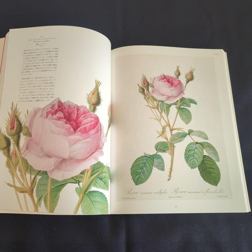 [USED] L'Espace Rose Art Book