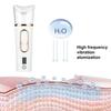 Mist Sprayer Handheld Nano Beauty Instrument Mini Hydrating Humidifier Skin Care LED Display Portable Humidifier Skin Care Gift