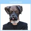 Pet Dog Mask Latex Costume For Halloween And Cosplay Dogs Animal Props
