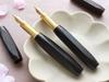 WANCHER World Hexagonal Fountain Pen Medium Tree/Legend/Ebony (M Nib)