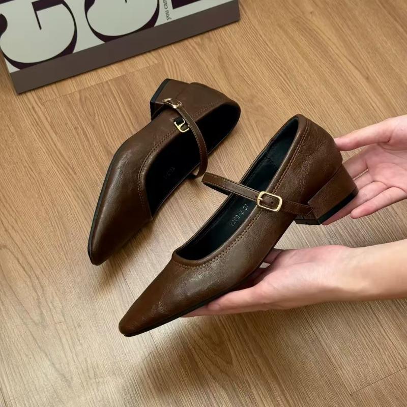 Mary Jane Single Shoes Thick Heel Shoes Elegant Classic Retro Square Toe Comfortable Soft Shallow Cut Low Heel Women's Shoes