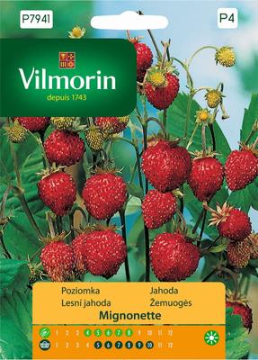 Strawberry Mignonette Seeds 0.1g -