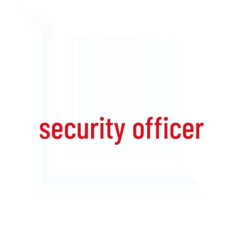 Velcro Volunteer Patrol Armband