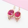 Russian Purple Gold Shiny Red Stone Egg Surface Simple Atmosphere Fashionable Foreign Style Rose Gold Plated Color Gold Earrings Set