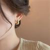 Premium Frosted Glitter Ear Clips - Minimalist, Versatile, Fashionable Earrings for Women