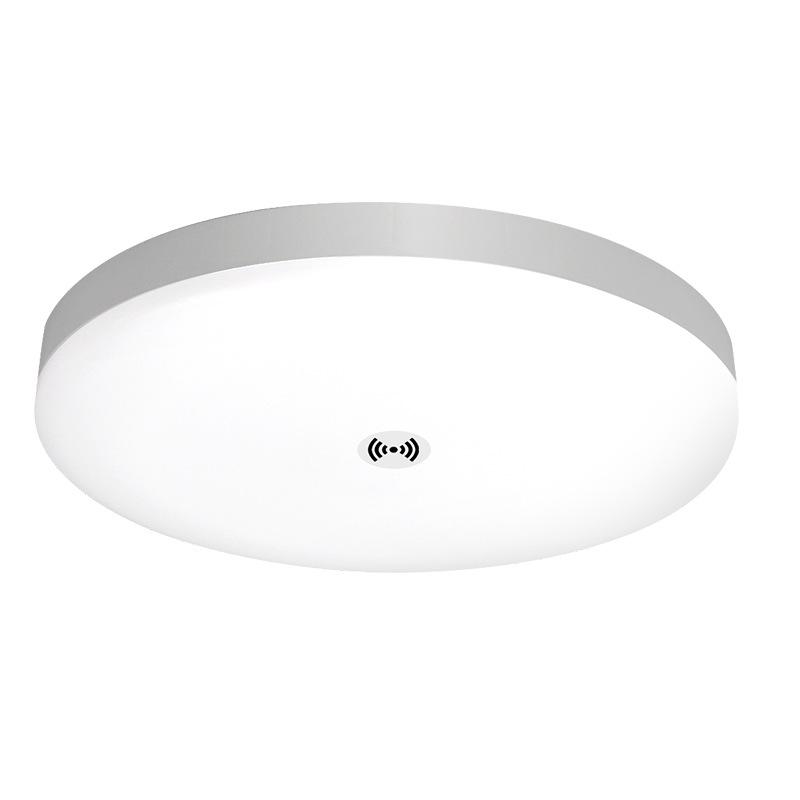 Tri-Proof LED Ceiling Light with Radar & Motion Sensor for Corridors and Staircases