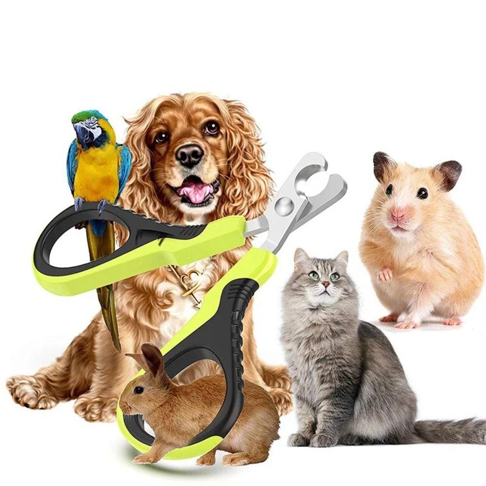 Professional Stainless Steel Pet Nail Clipper Green Small Nail Clippers Nail Trimmers Hamsters