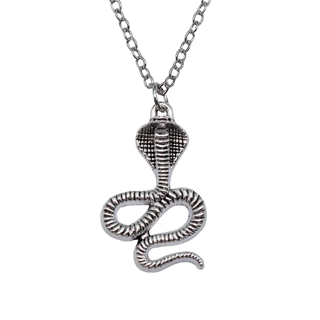 Snake Charm Necklace Dragon Minimalist Serpent Pendant For Women Grunge Aesthetic Jewelry 43cm Chain