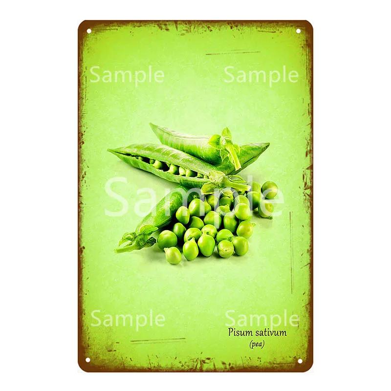 Thatchers Plaque Früchte Bananen Metallschild Vintage Bauernhof Dekoration Heimdeko Wandaufkleber Ladenmalerei Restaurant Poster YL168