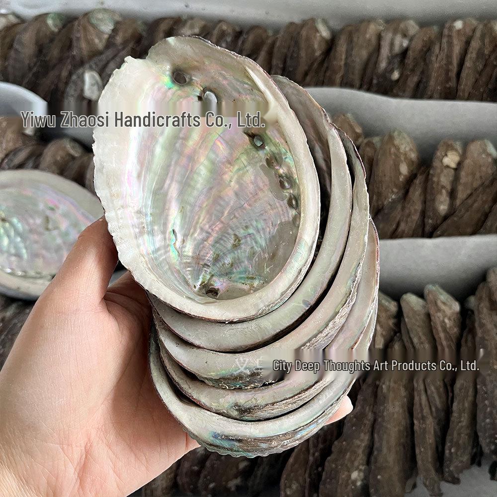 Abalone Shell Sage Incense Burner - Natural Pearl Decorative Piece for Home