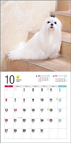 2024 Calendar Maltese (Seibundo Shinkosha Calendar)