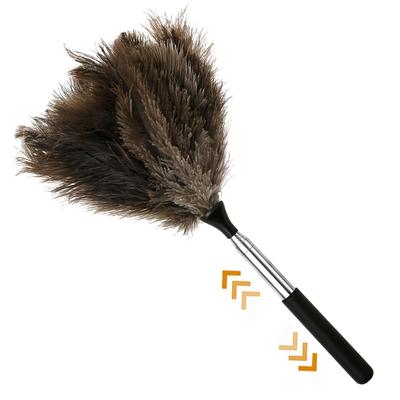 Extendable Ostrich Feather Duster With Stainless Steel Long Handle Brush Household Furniturer Dust Cleaning Tools