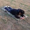 Jun Kai Wei Outdoor Foldable Waterproof Camping Picnic & Shooting Mat
