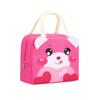Oxford Cloth Cartoon Insulated Lunch Bag Portable Handheld Zipper Lunch Box for Kids and Adults Durable Lightweight Lunch Tote
