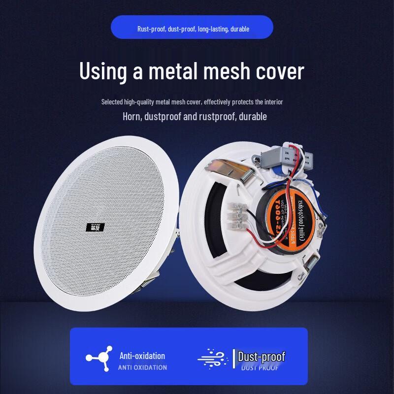 Diyou Embedded Ceiling Speaker & Amplifier System CN Plug (adapter Included) (CN Version)