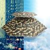 1PC Fishing Umbrella Hat Convenient Rain And Sun Outdoor Work Head Umbrella Hat Sanitation Summer Outdoor Tea Picking