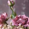 Autumn Color Peony Flower Elegant Peony Simulation Flower Artificial for Table Setting & VisualFocus in Dining Area
